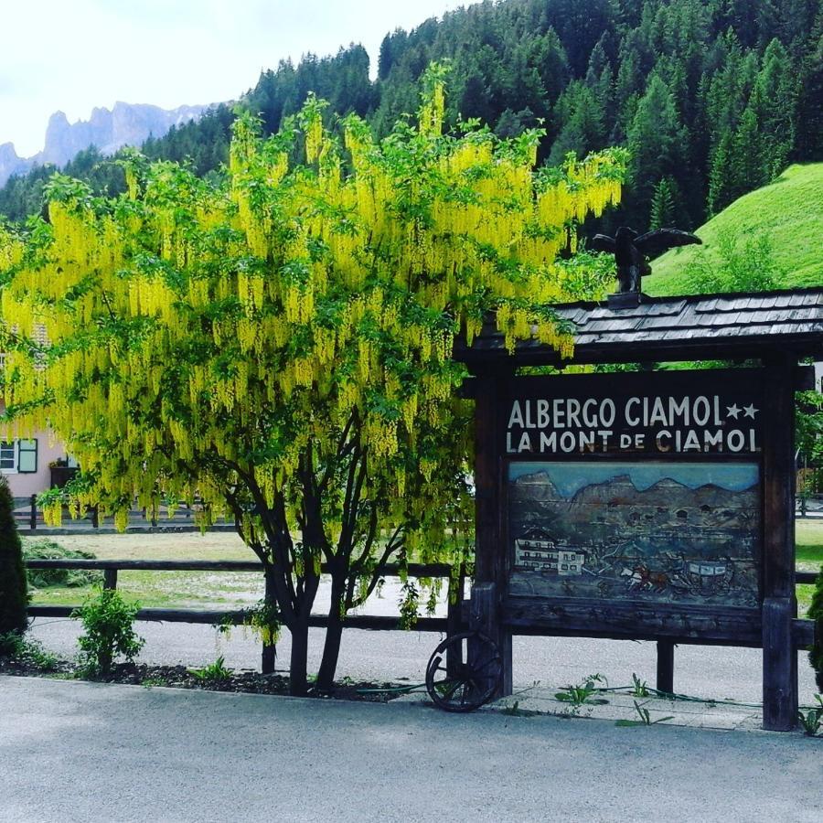 Hotel Ciamol カンピテッロ・ディ・ファッサ エクステリア 写真